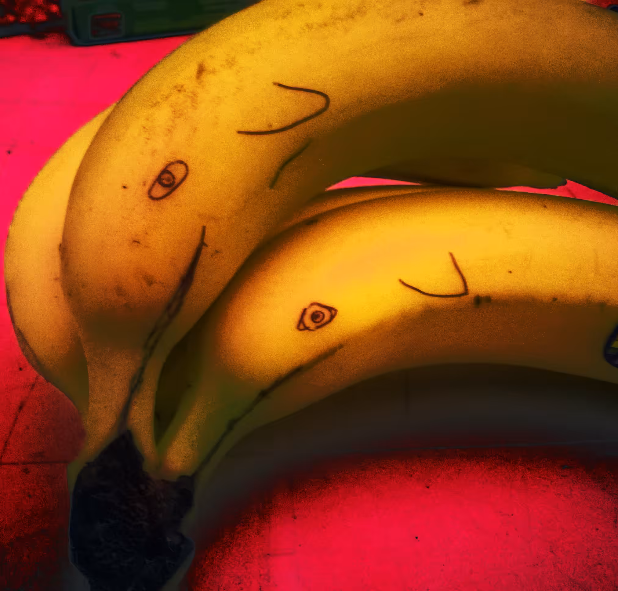 Conjoined Twins Dolphin Bananas