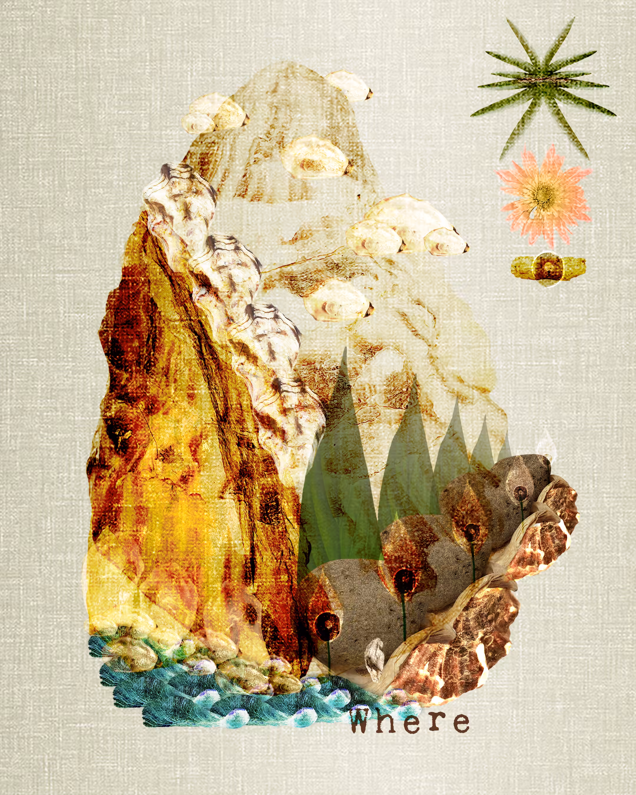 Primary Nature 015