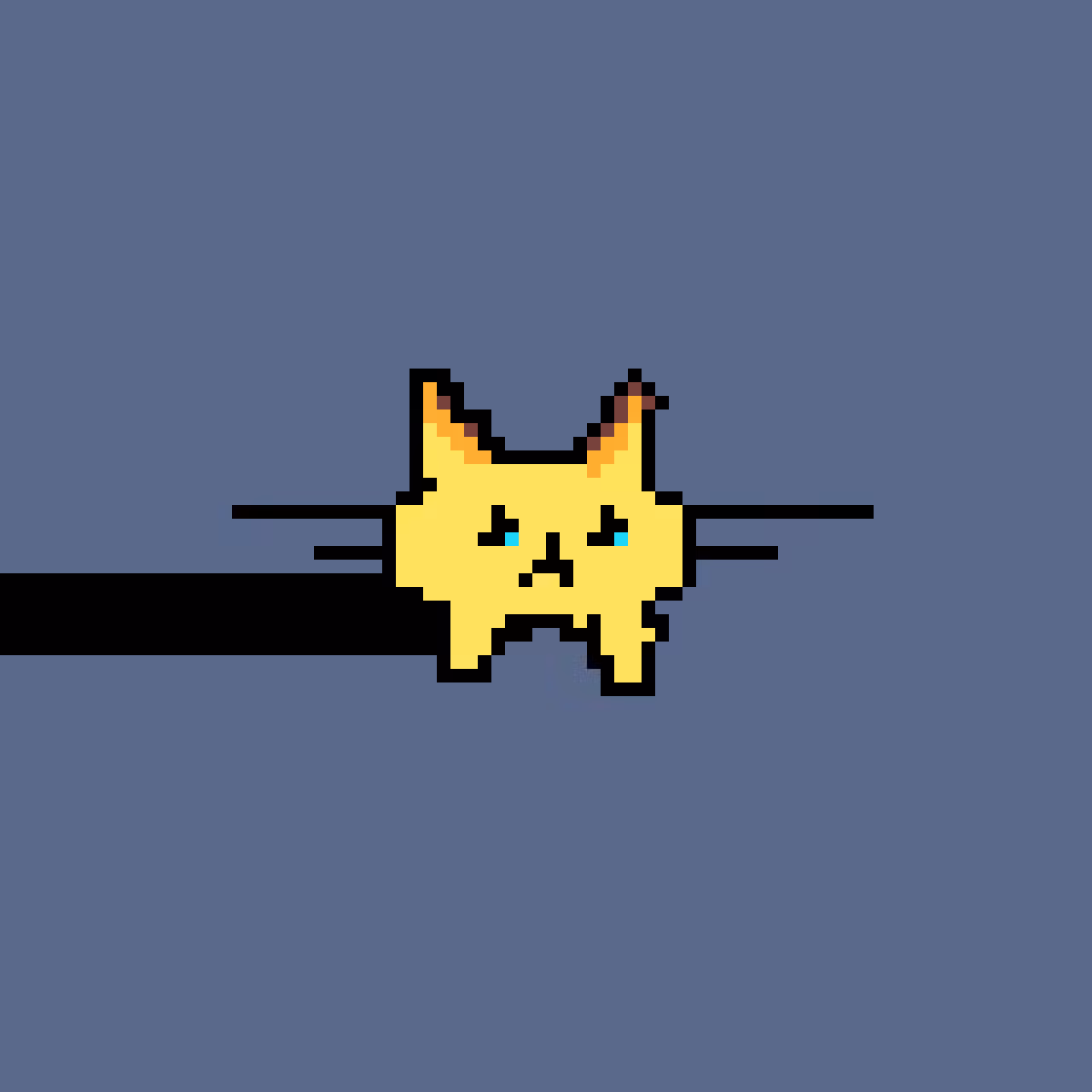 Joe catman