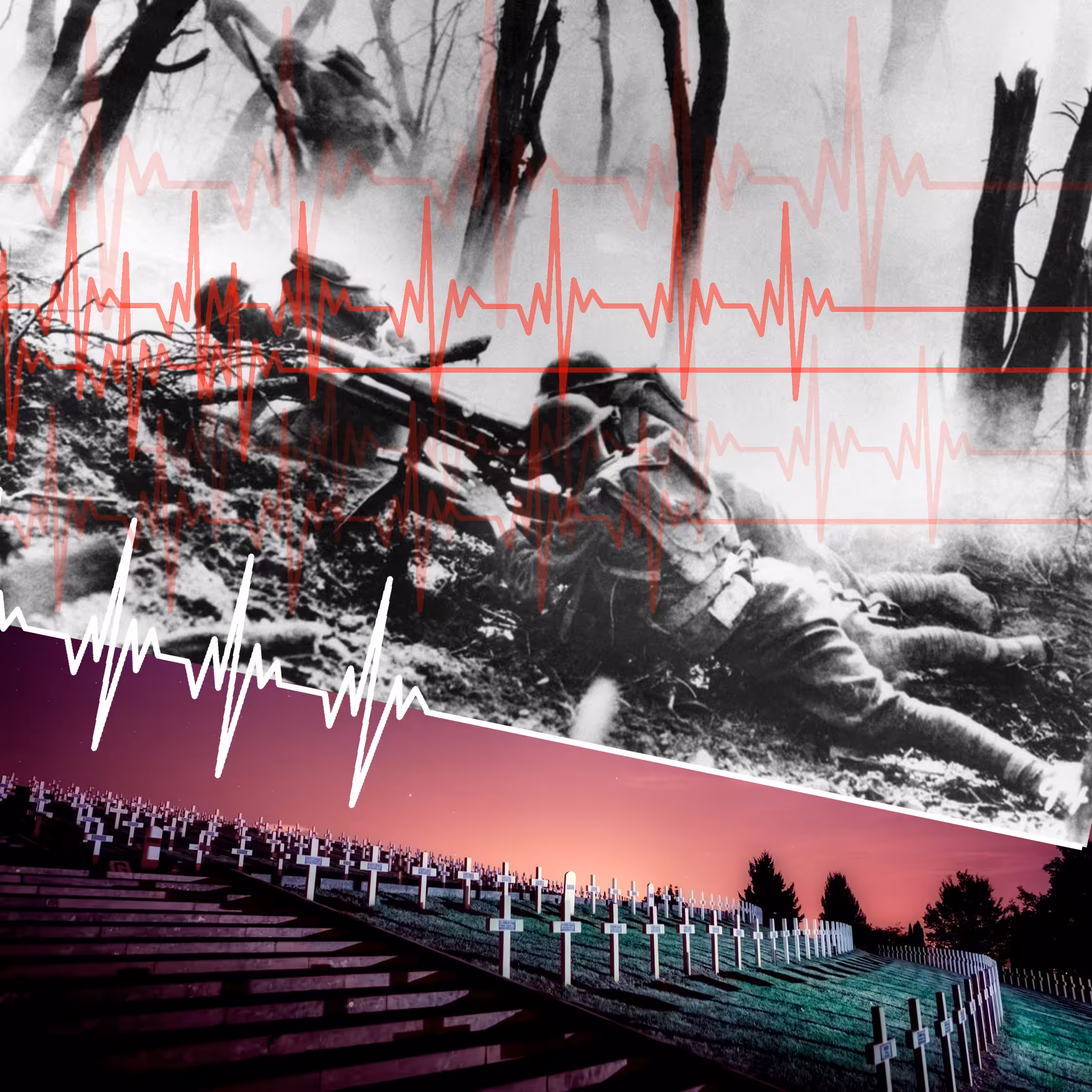 Chaos/Order