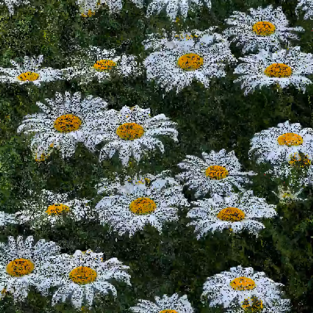 Daisy, Daisy... Daisy... Daisy [NFT version]