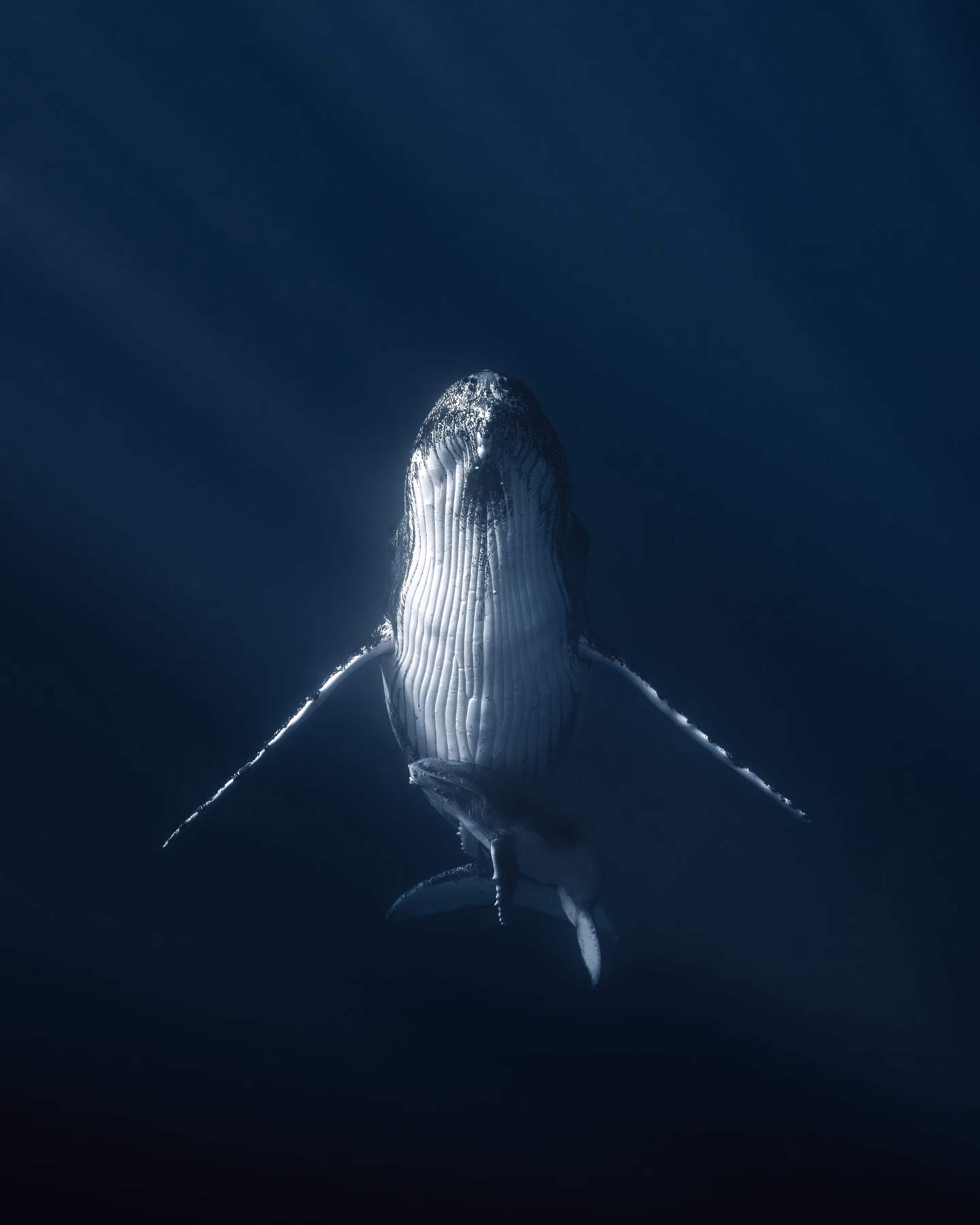 Ghosts of the Deep