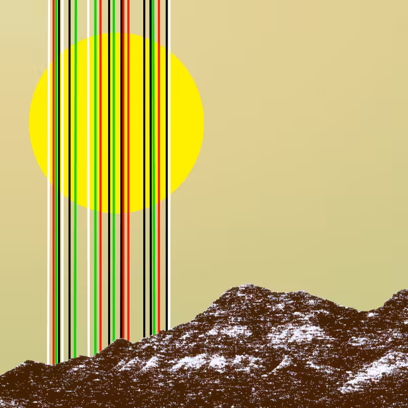 collage #1  from nature #48