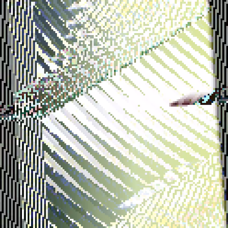 Grid, Rules and Cells #229
