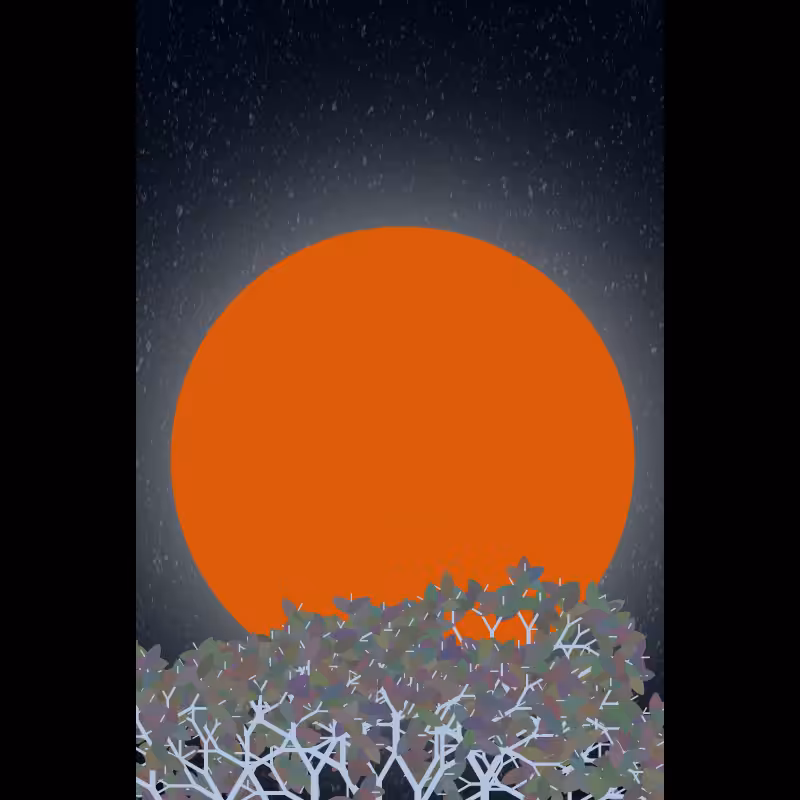 Moonlight Sonata #74
