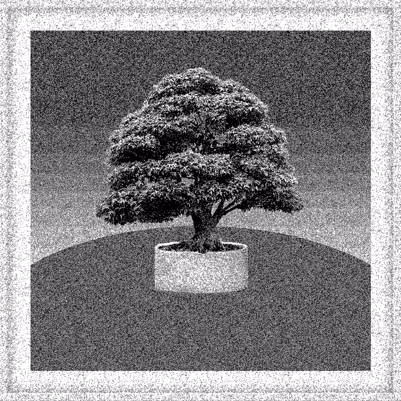 Bonsai Bonanza #797