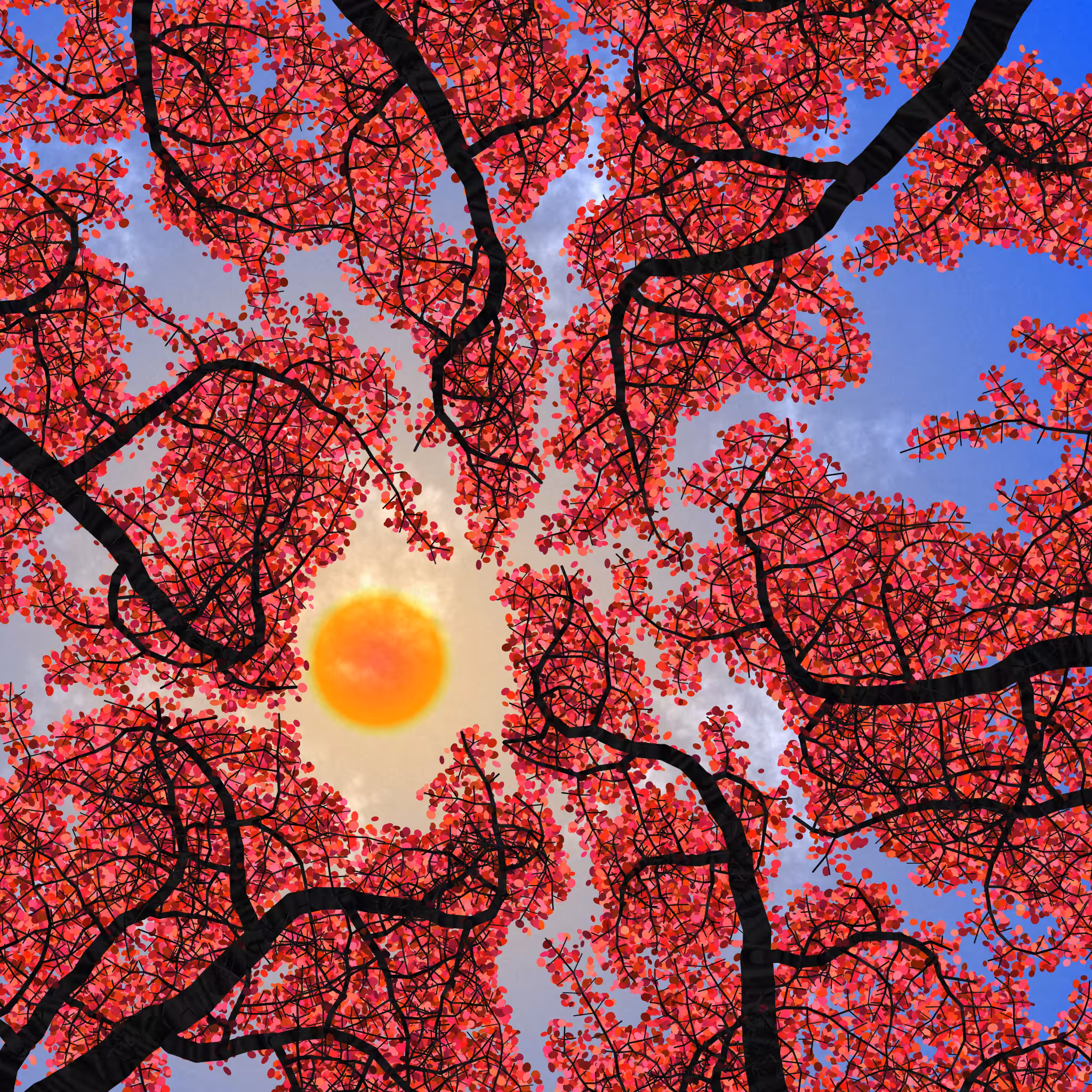 Tree Skyness #60