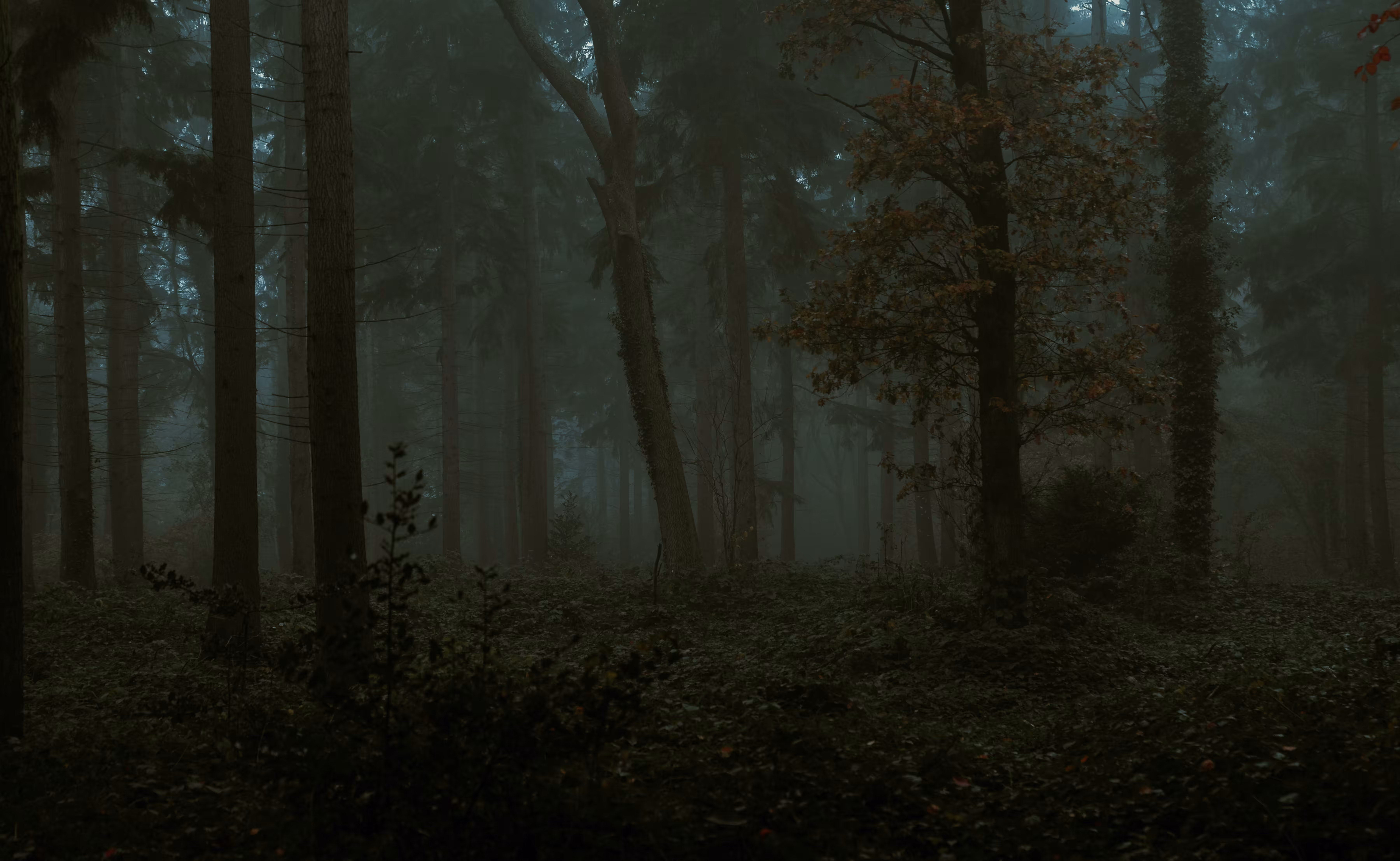 A haunted morning 