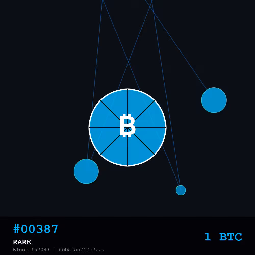 🍕 Bitcoin Pizza Genesis: 10K — RARE #00387