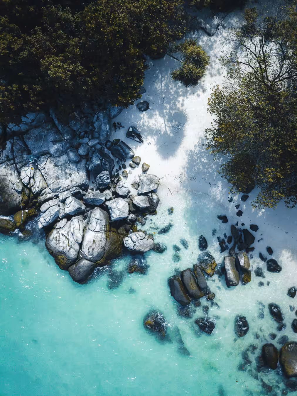 Tropical Vibes #7 ( Paradise )