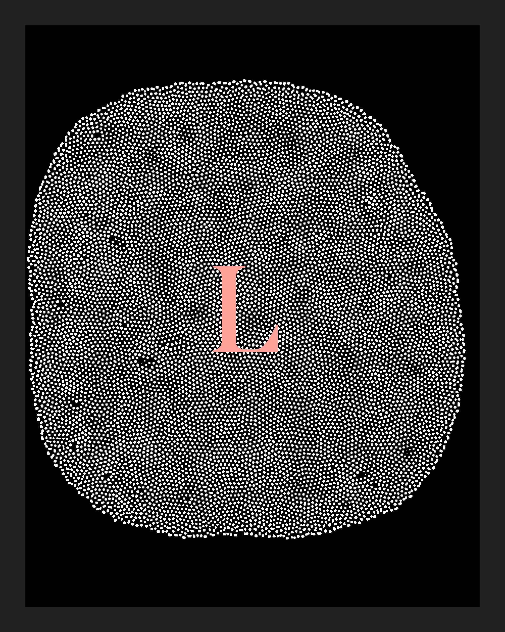 Turing Test #250