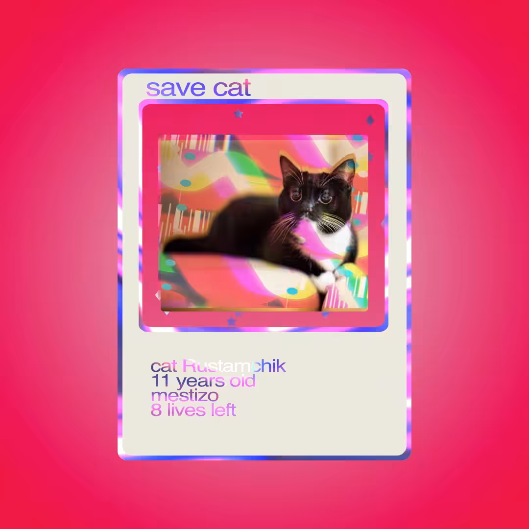 SAVE CAT