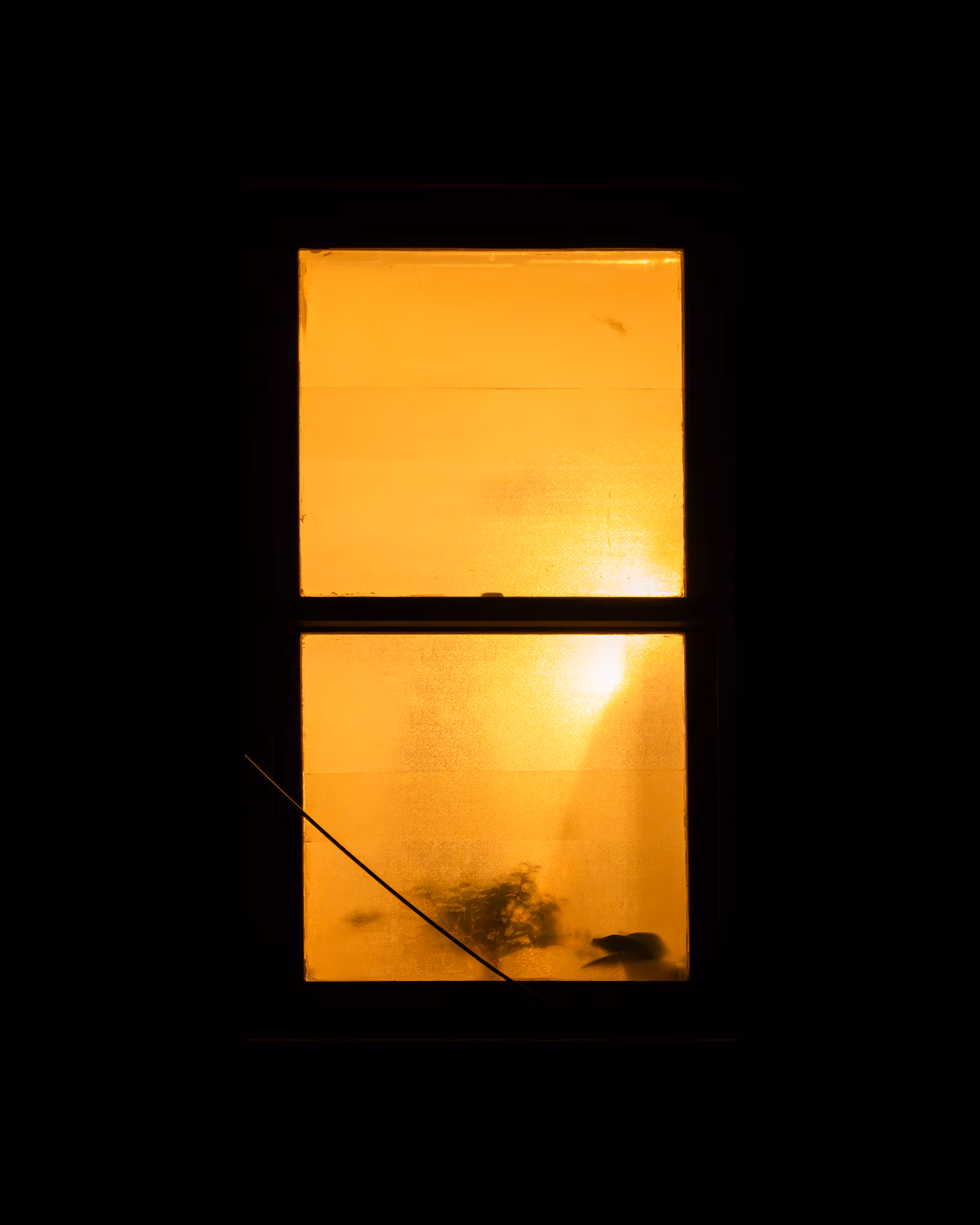 WINDOW 946