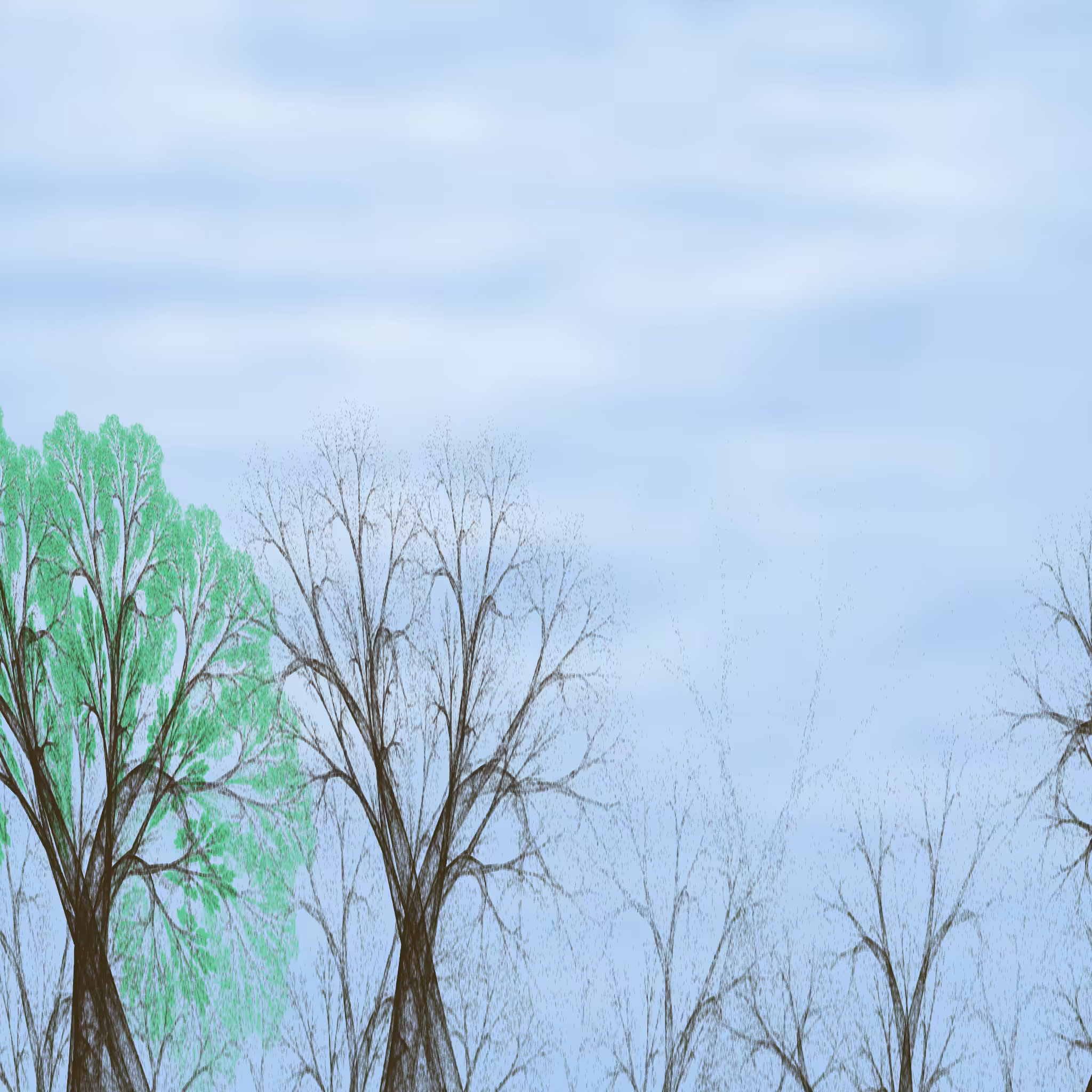 Chaotic Treescape #3