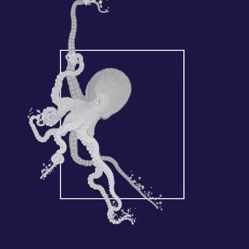 the generative octopuses #78