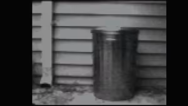 TRASH ACTUALITY