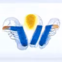 wingspanbank.com (1999-2001) reimagined by Cosmographia, with Simon Denny and Guile Twardowski