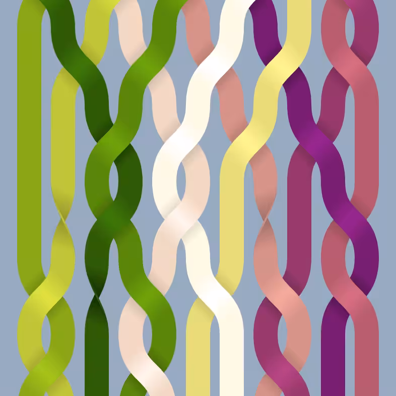Endless Braids #56