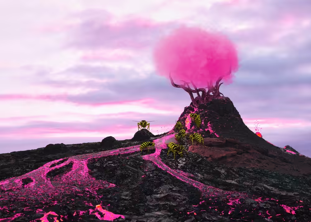 Pinoxicity
