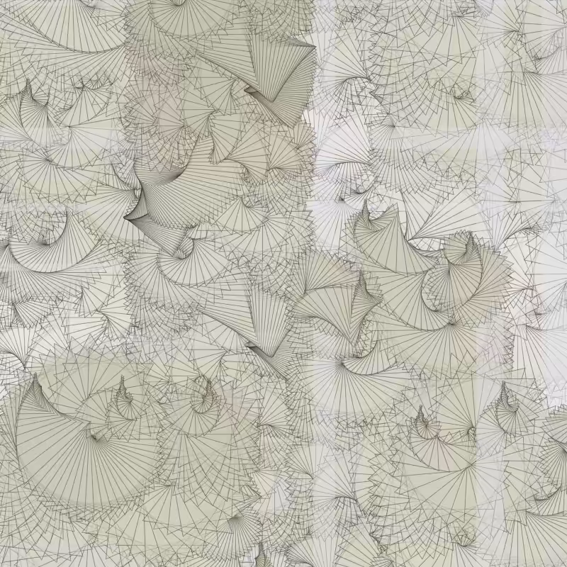 Braids/burdens #16