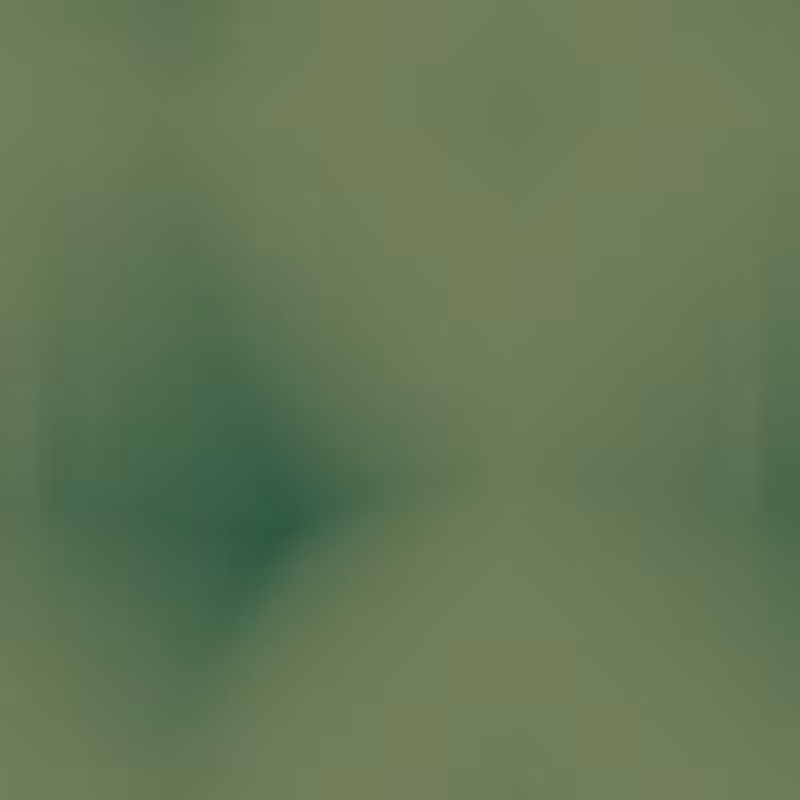 Unidentified Networks #10