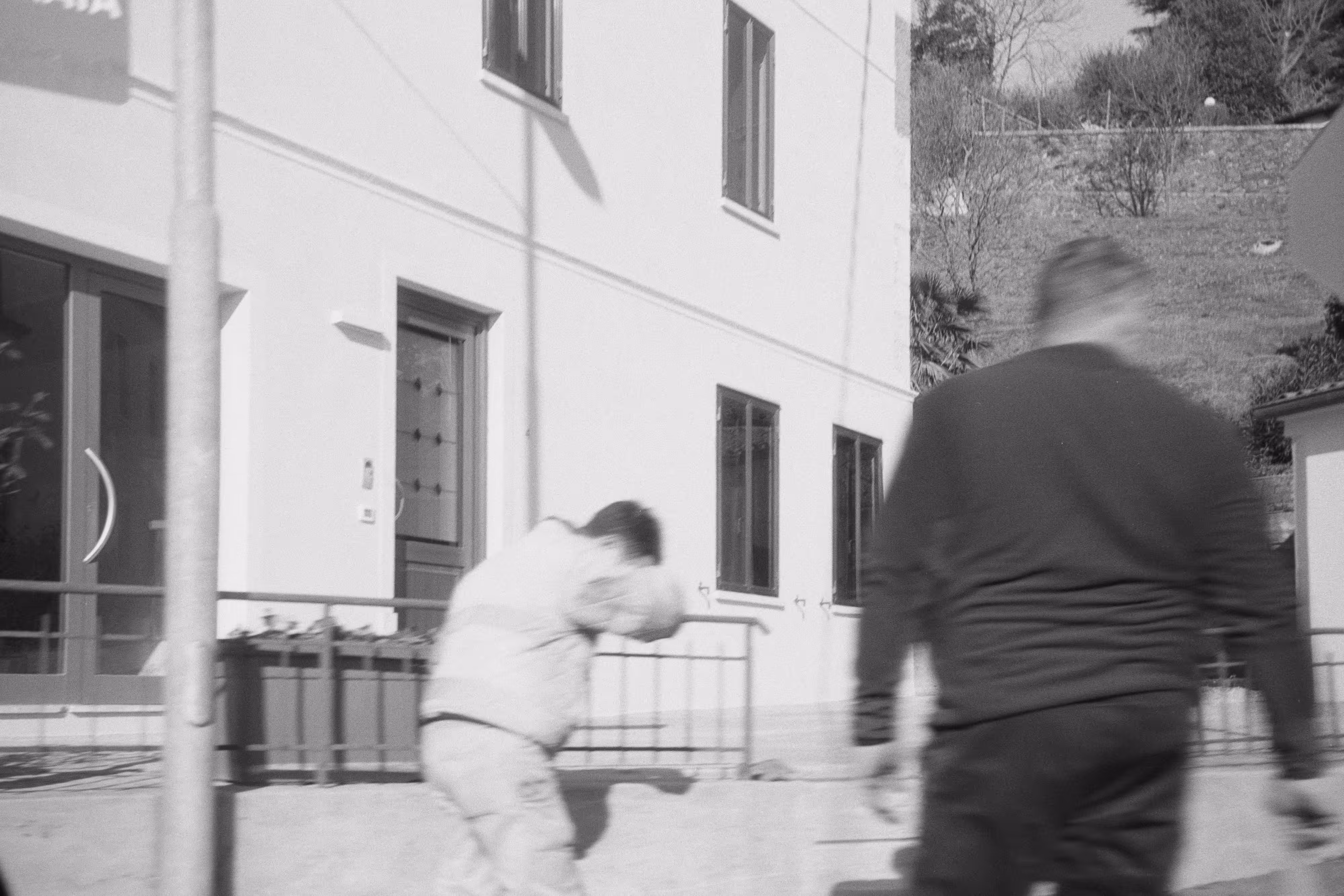 IMAGE 3