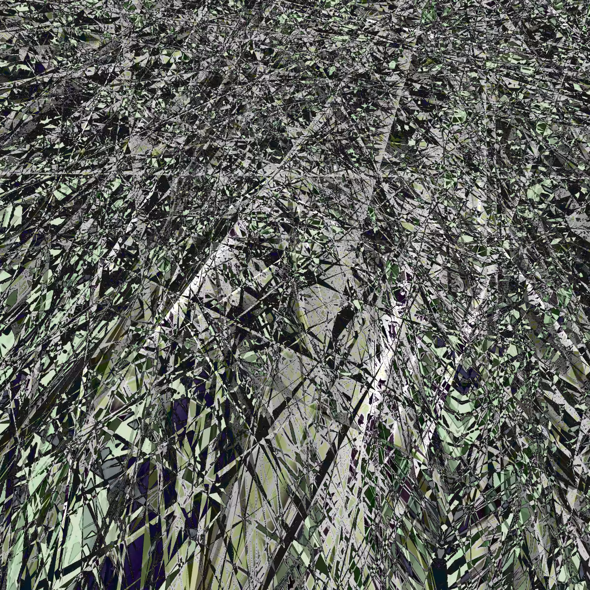 wood forest