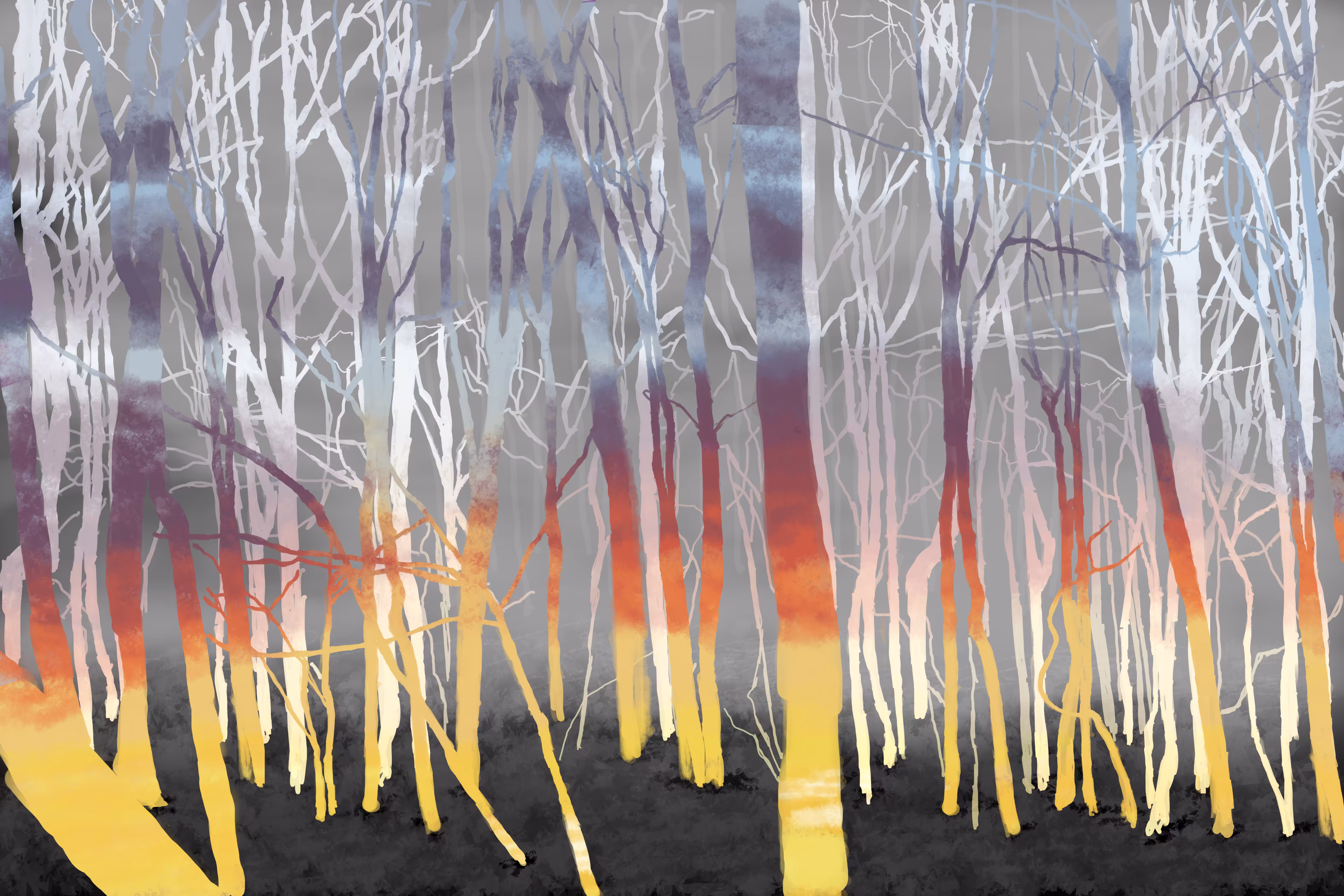 Trees in Morning Twilight