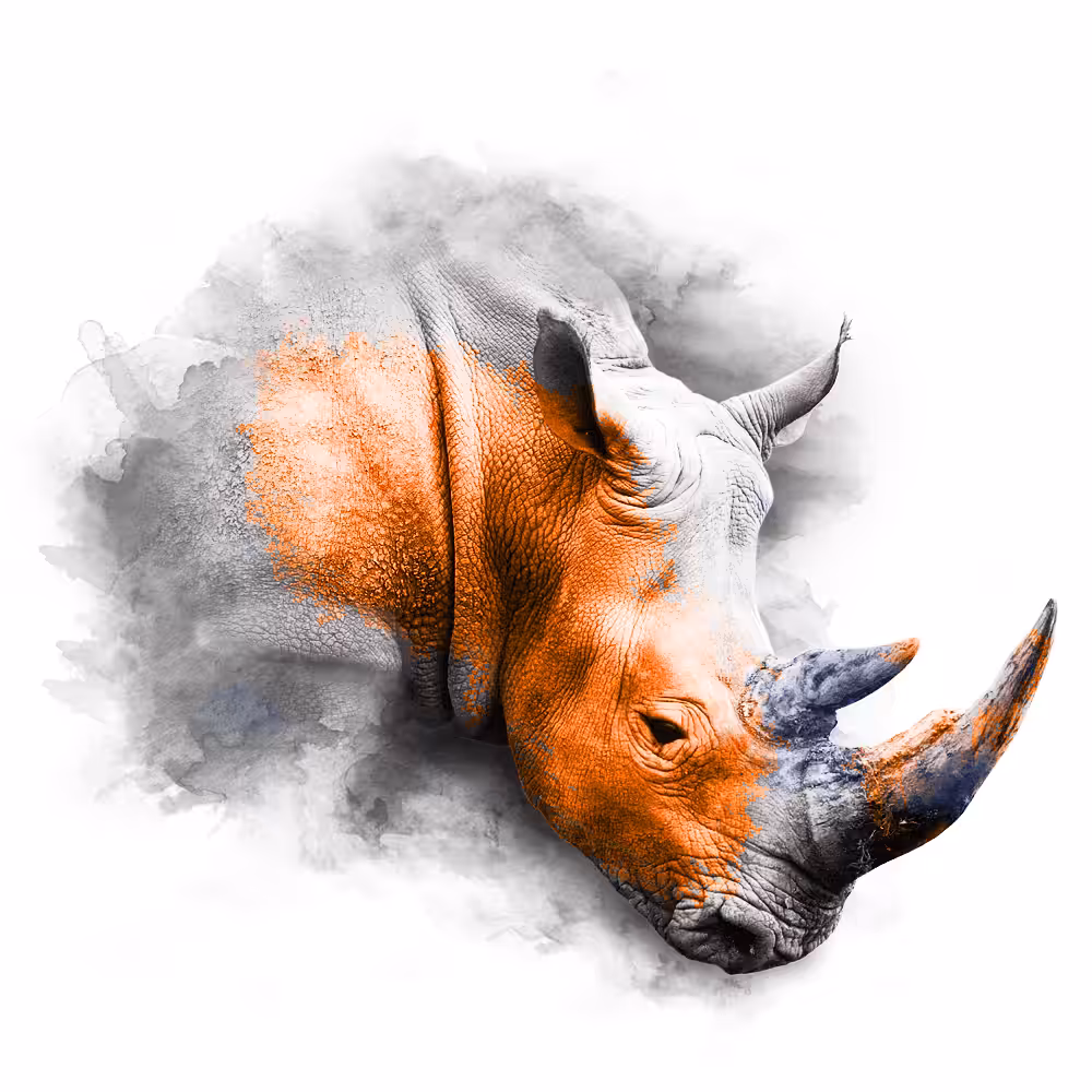 ORANGE SERIES - RHINO