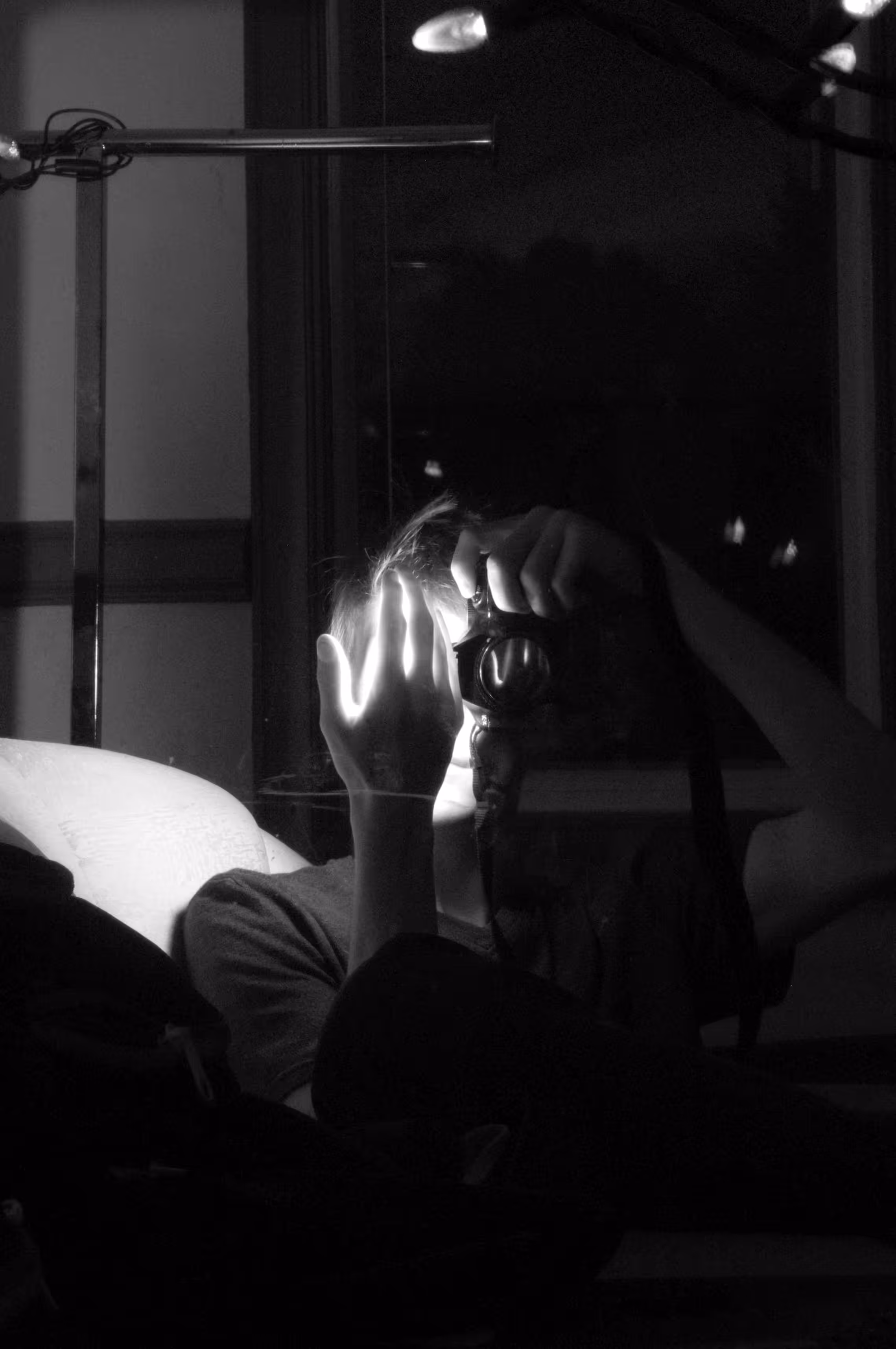 self portrait system