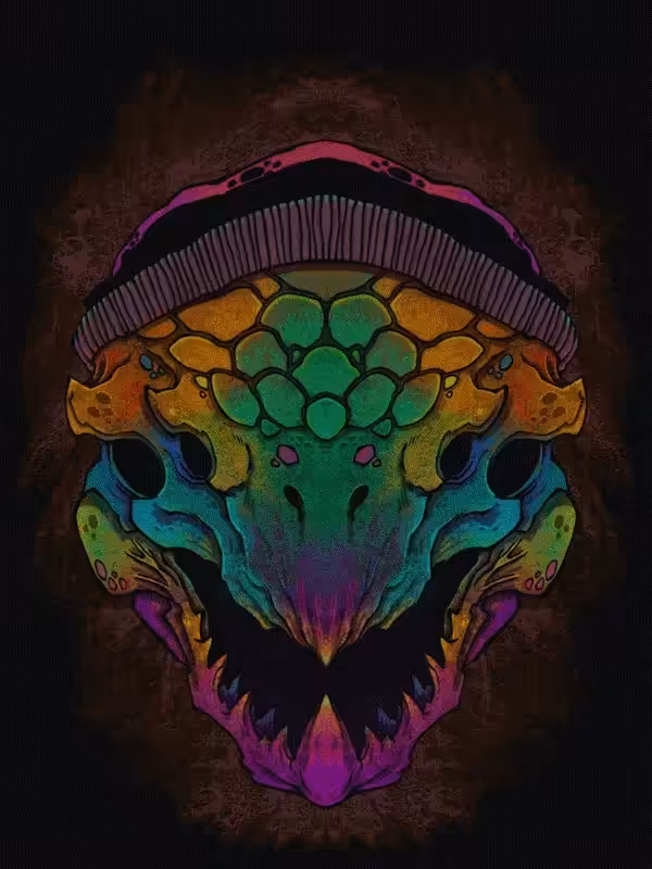 Mr.Turtle