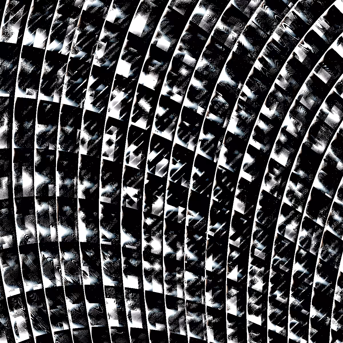 Insides #46