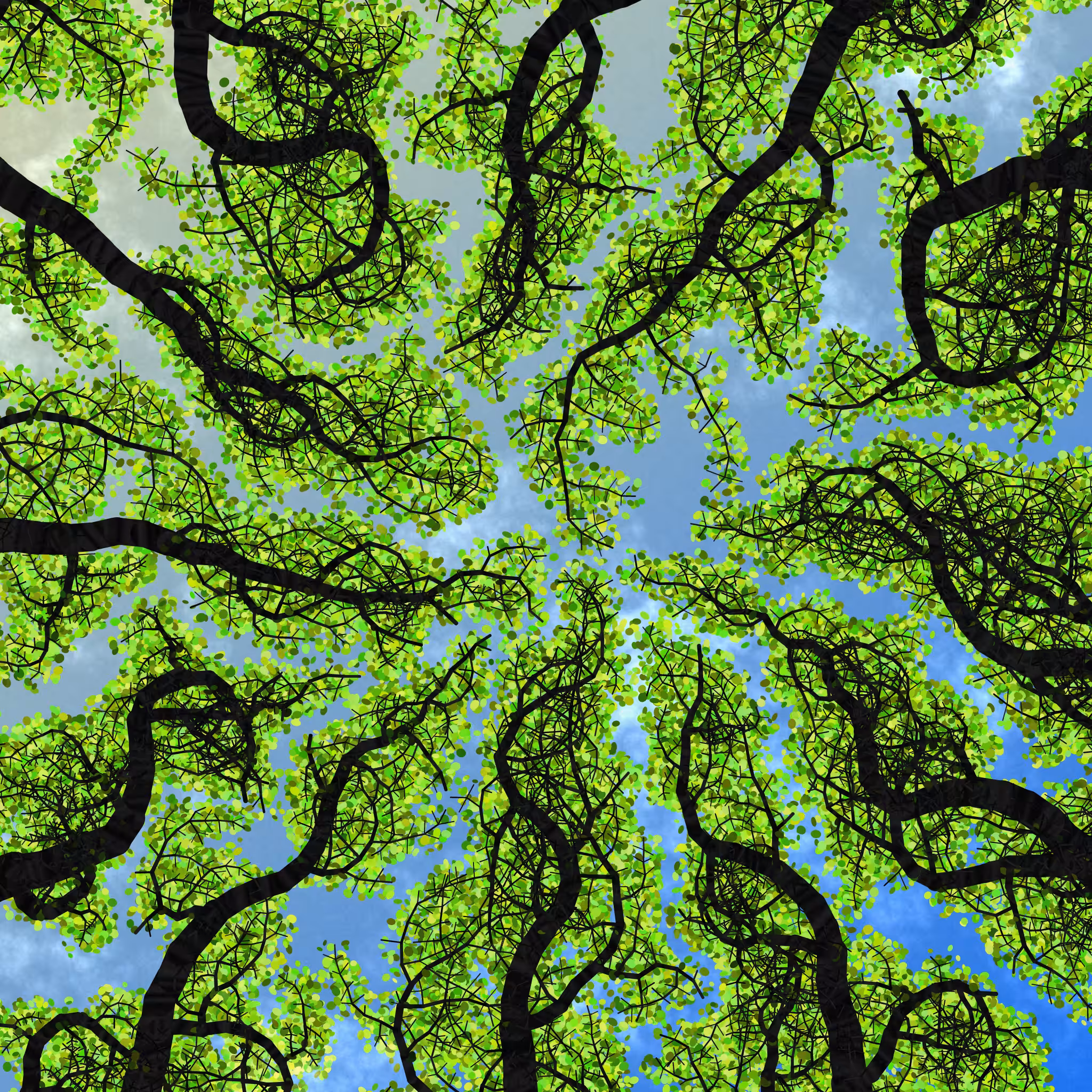 Tree Skyness #131