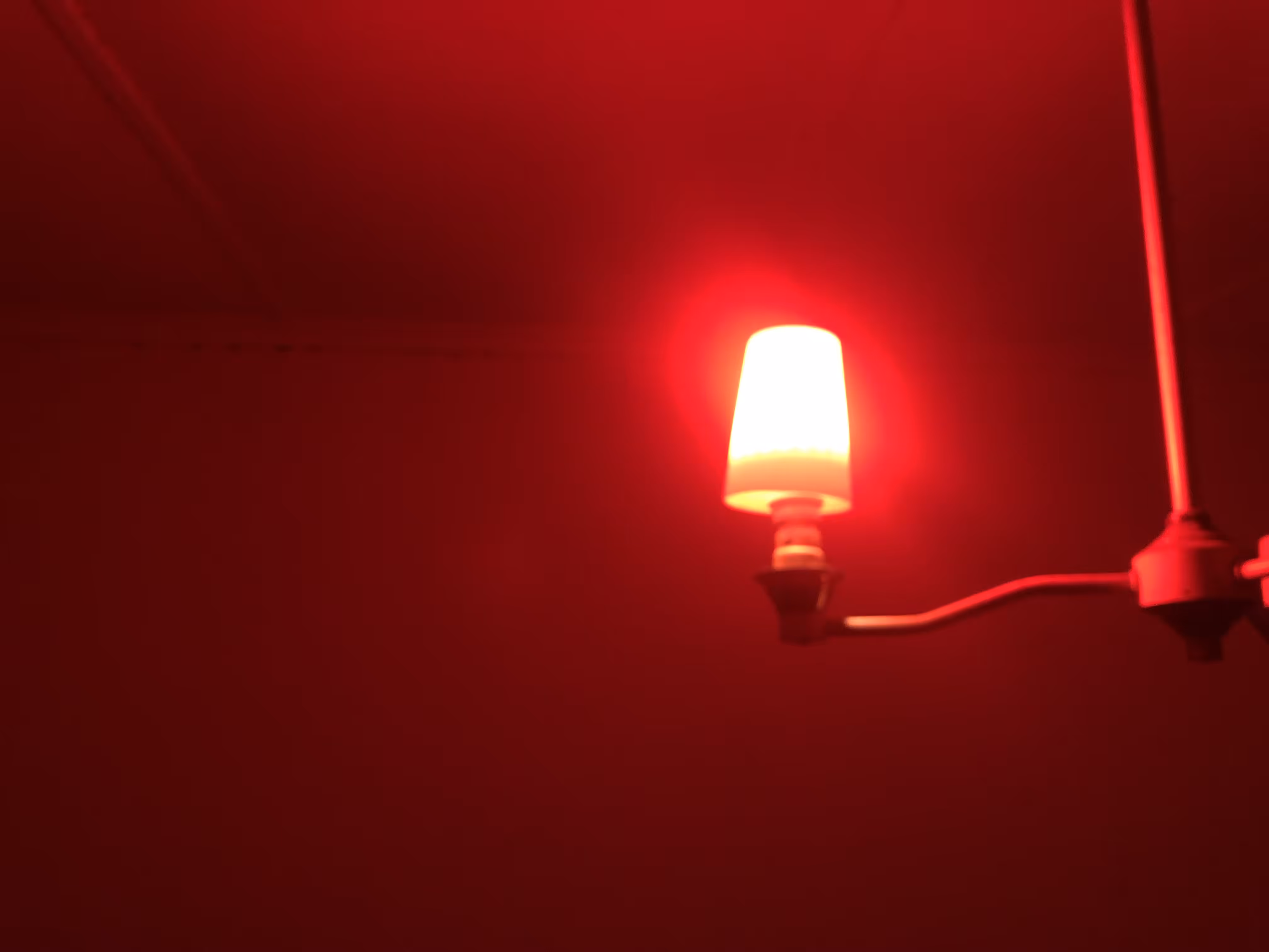 Red Hours #8