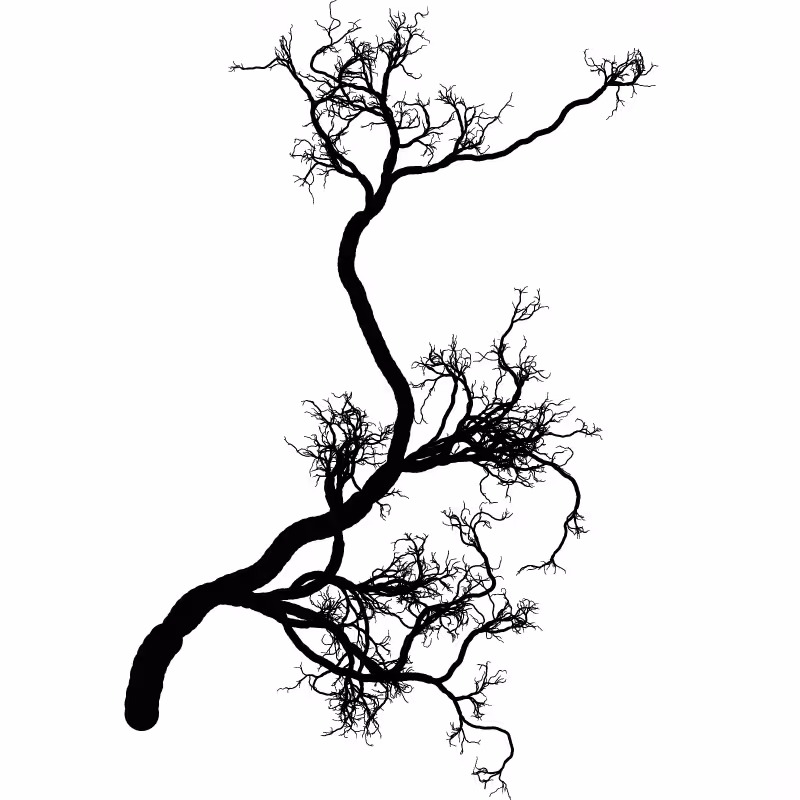 Tree 01 #109