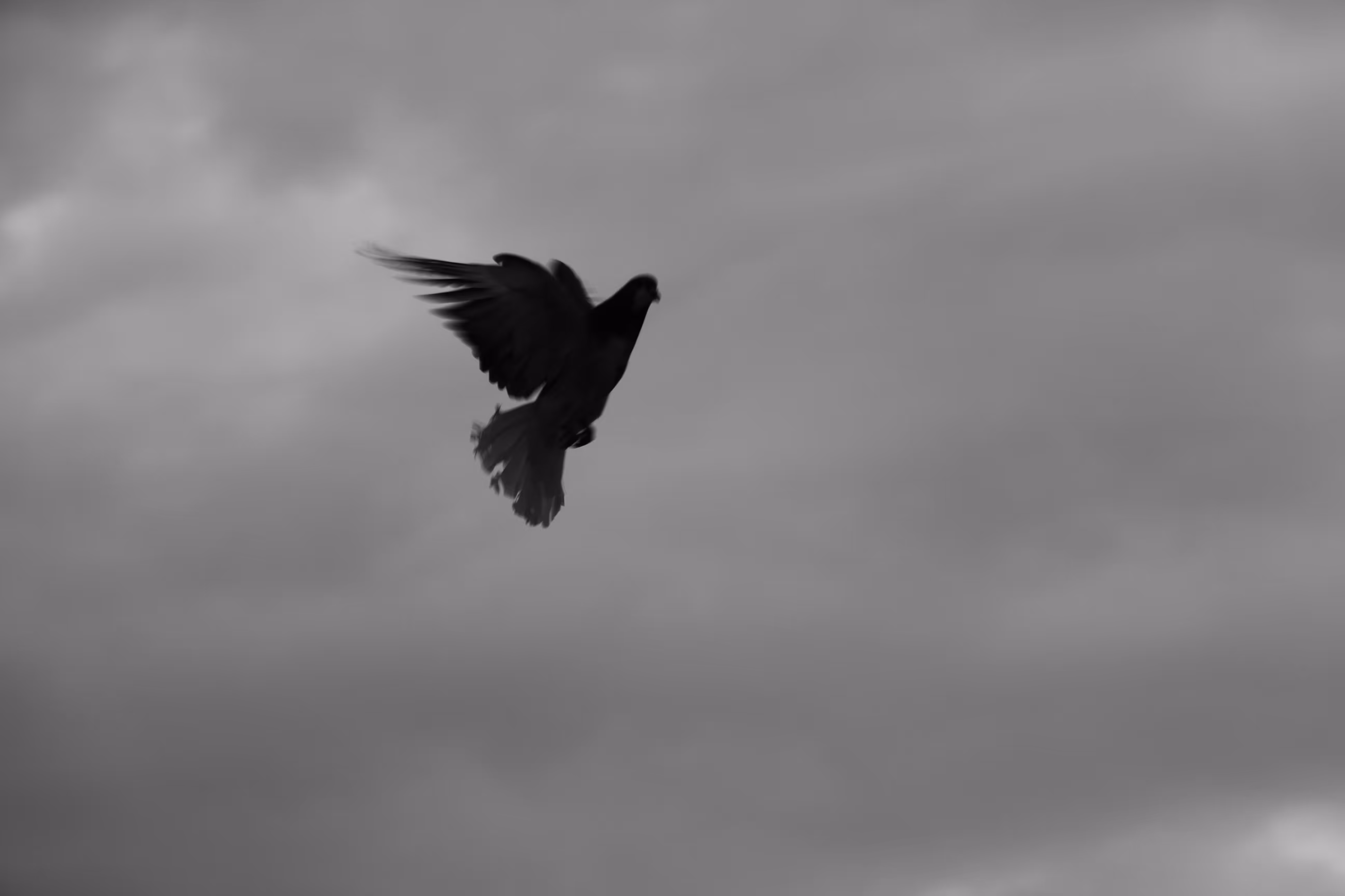 Passing Away 02
