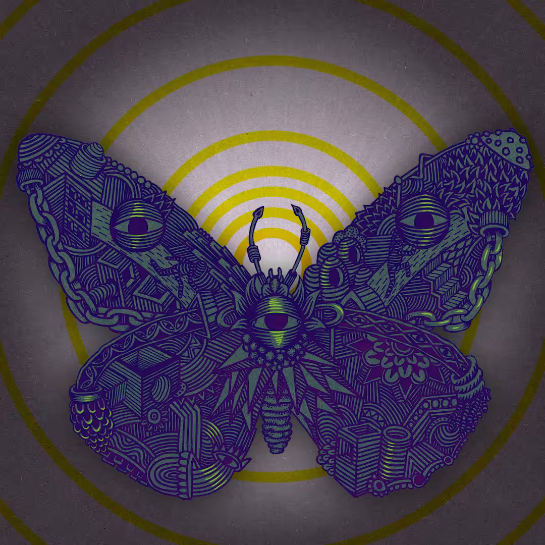 Metamorphosis of Sisyphus