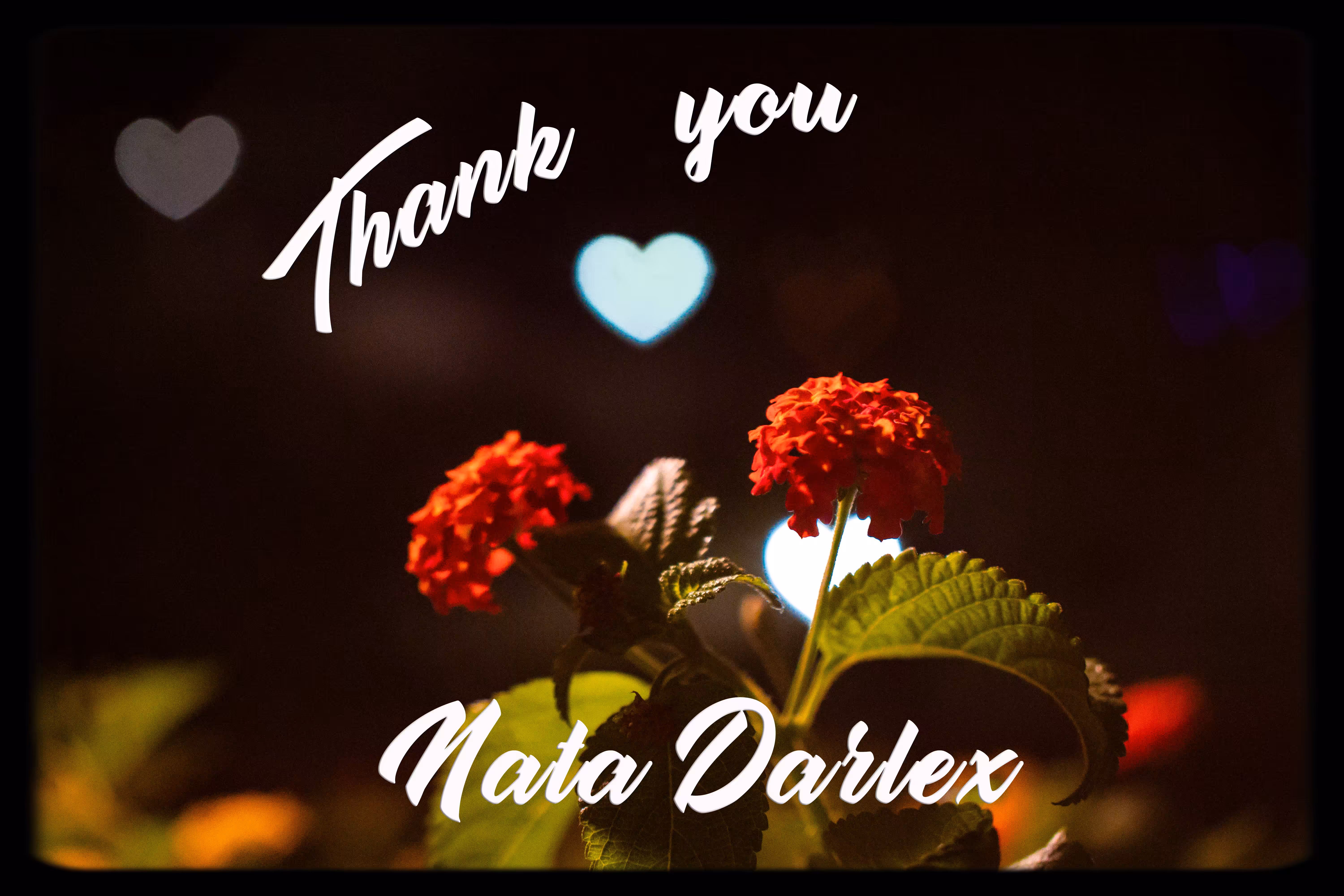 Thank You Nata Darlex