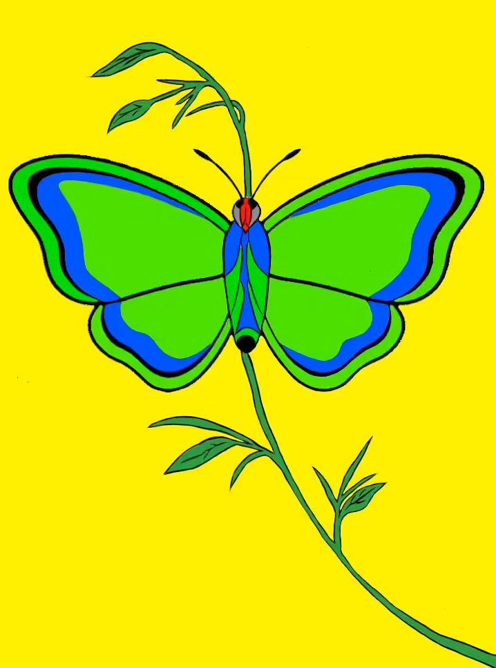 TezosFly#001