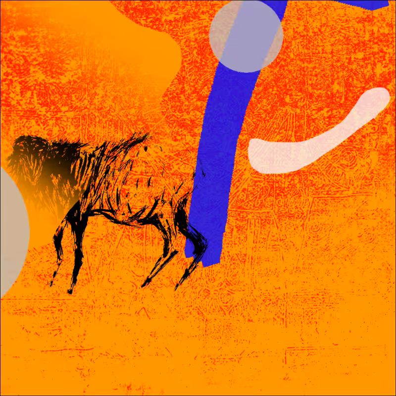 tHE sHEEP #10