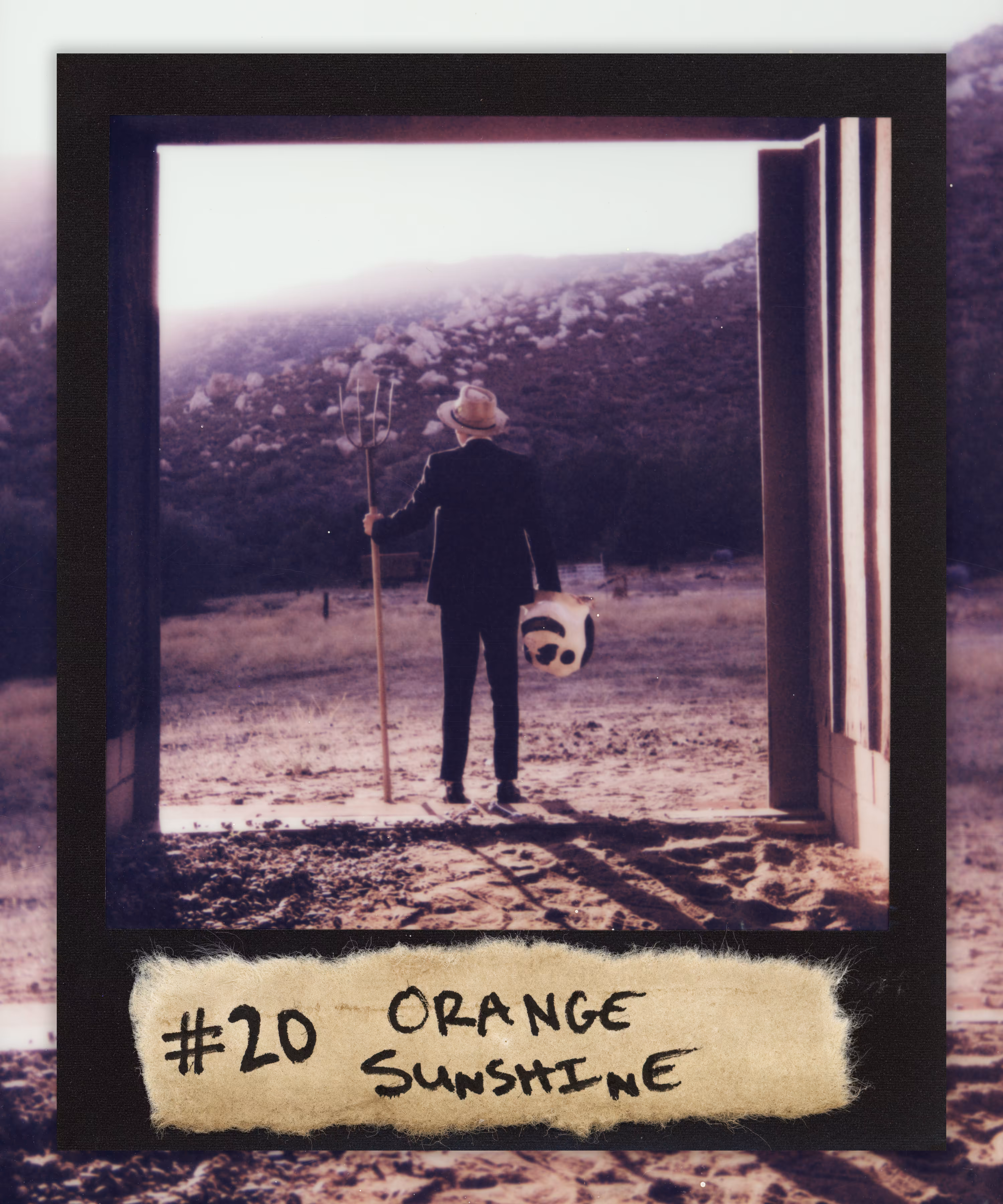 #20 ORANGE SUNSHINE