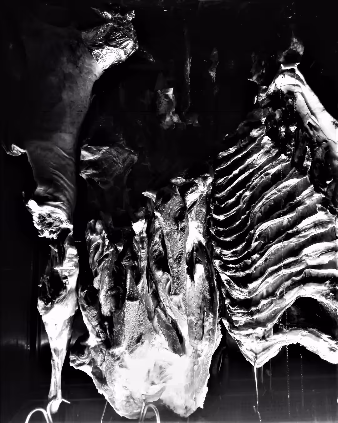 this is not meat. this is a body