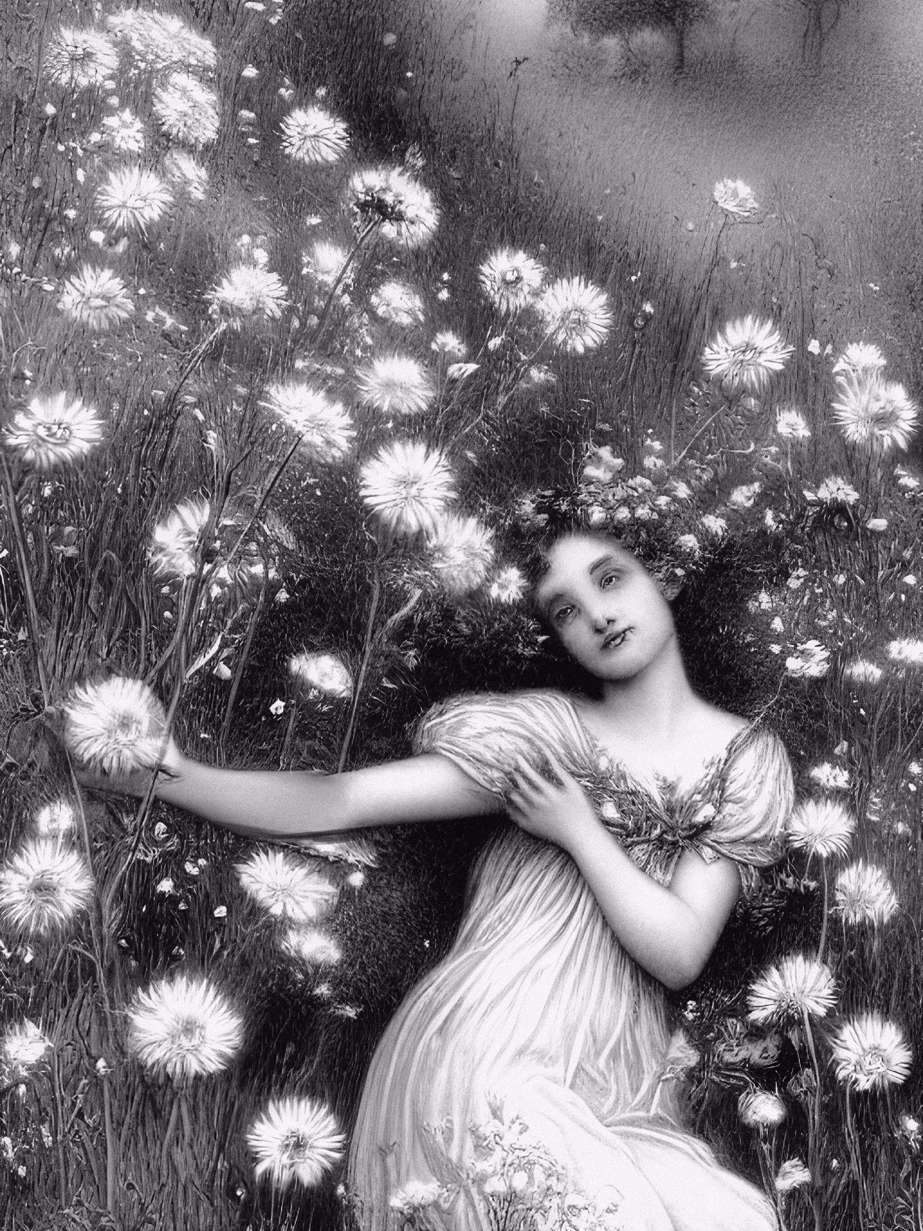 FAIRY 