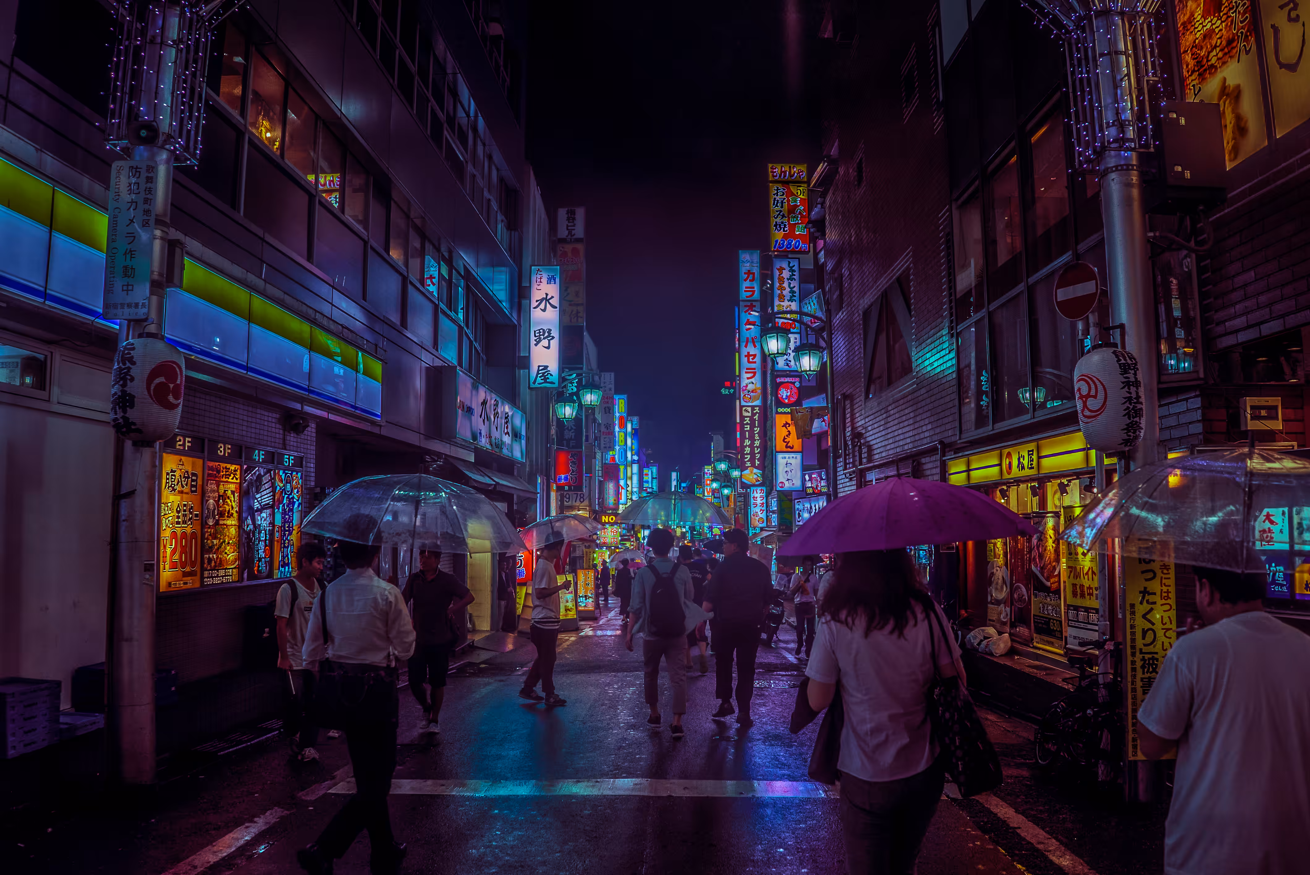 Tokyo Hikari #2 Shinjuku Nights