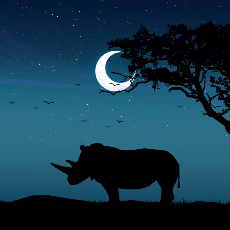 We Care...Rhinoceros #4