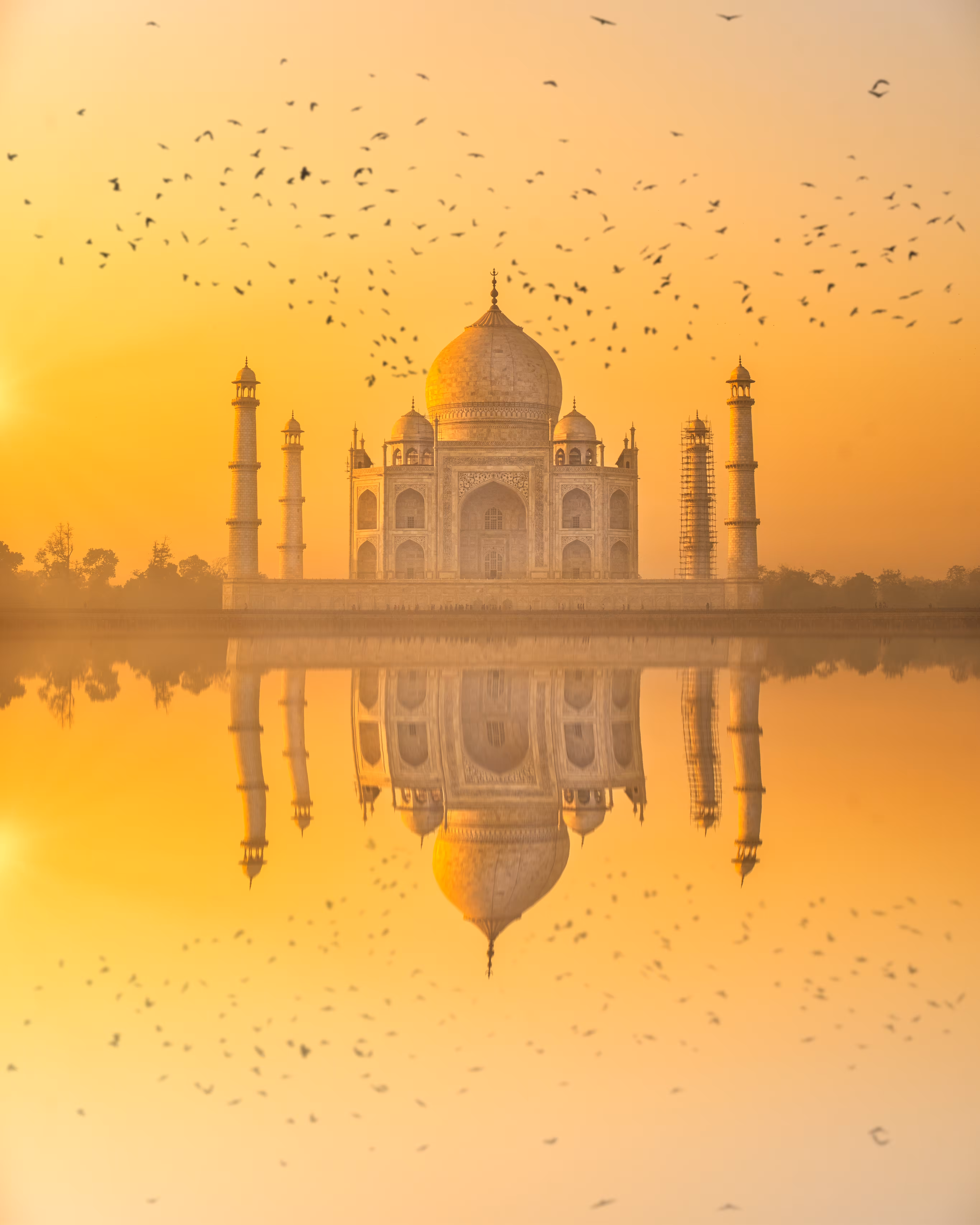The Golden Taj