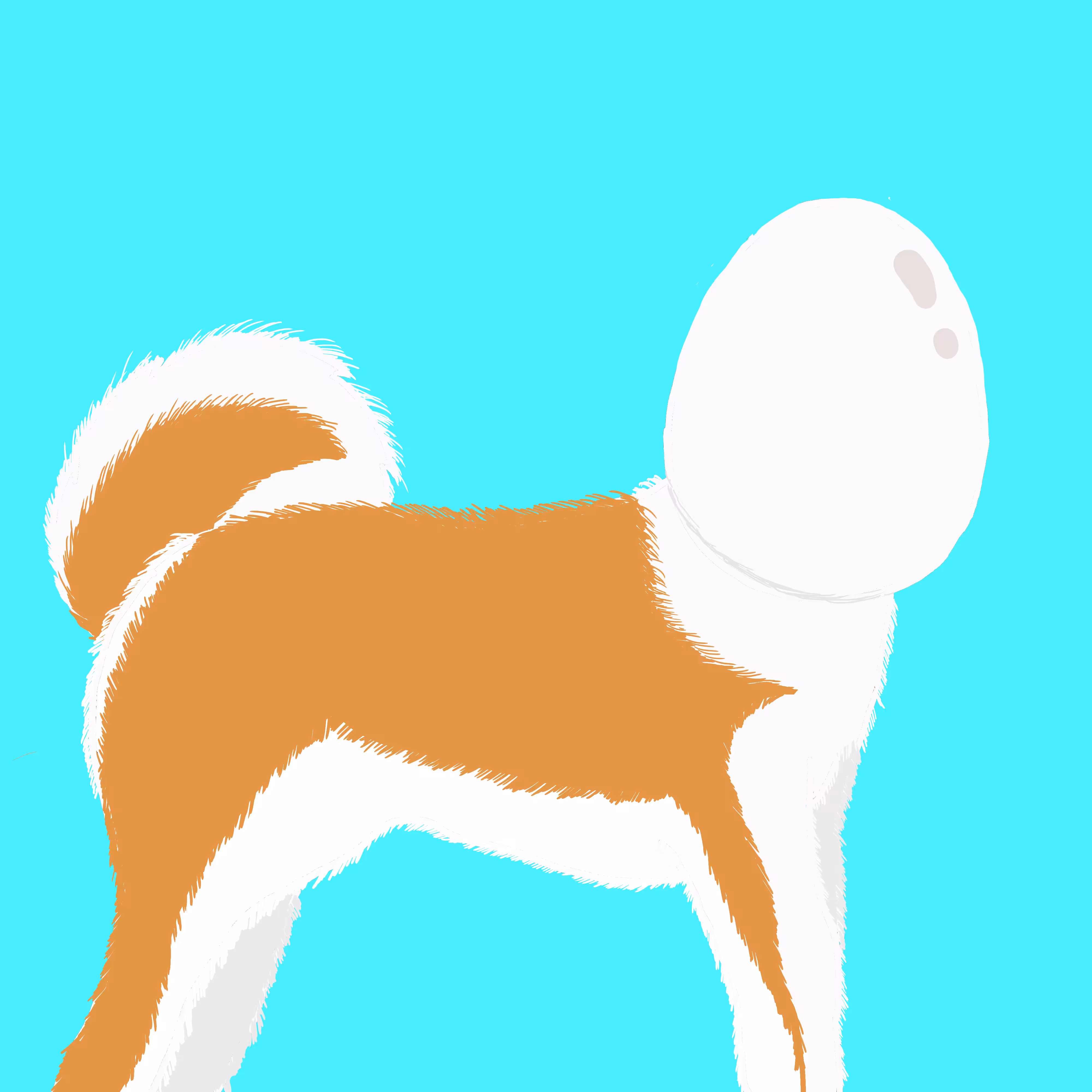 エッグドッグ Egg Dog