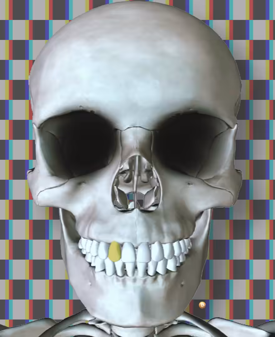 Bitcoin skull