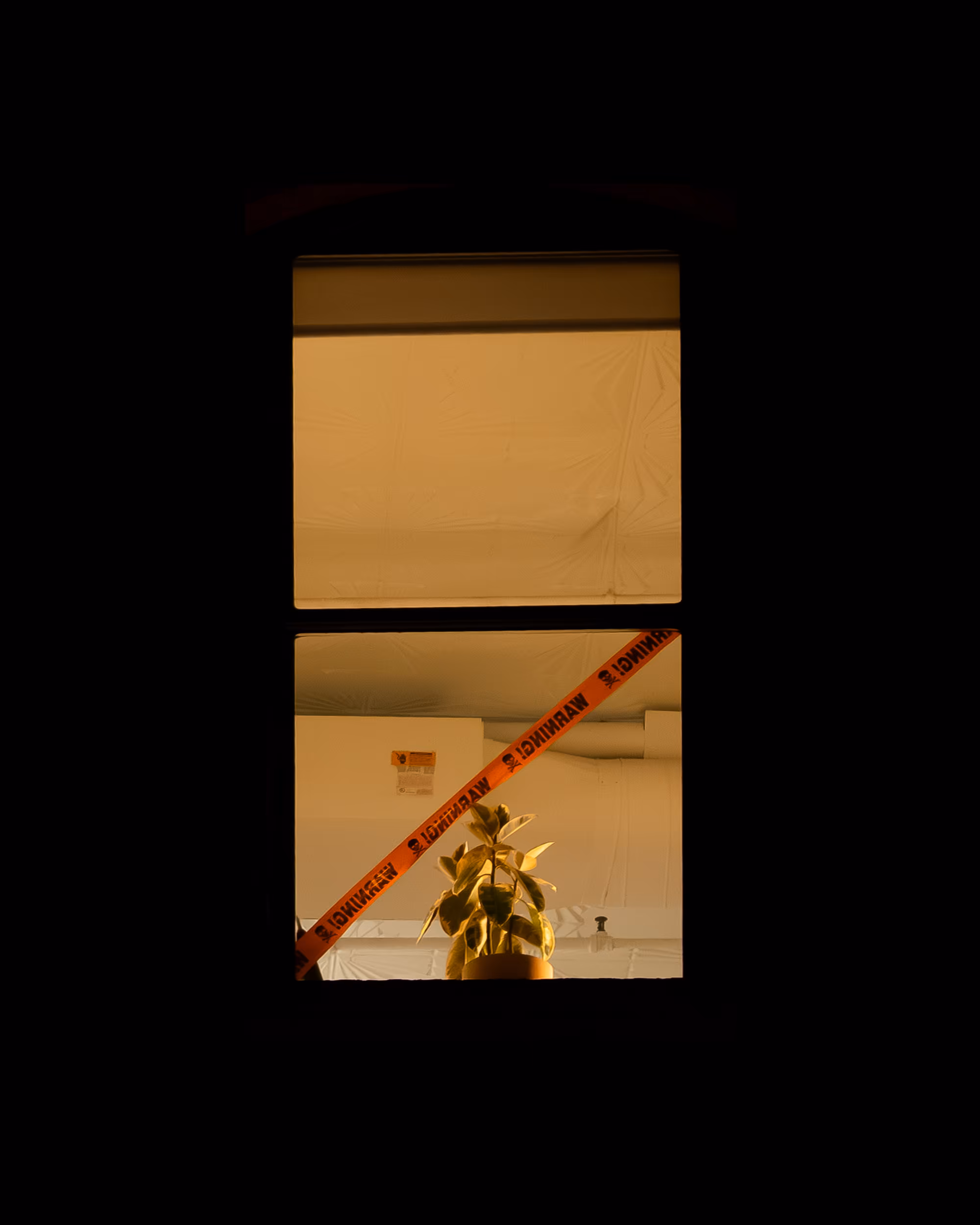 WINDOW 50