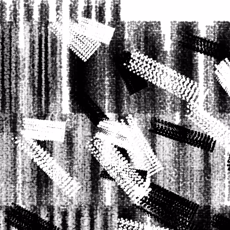 Urban Disorderly #138